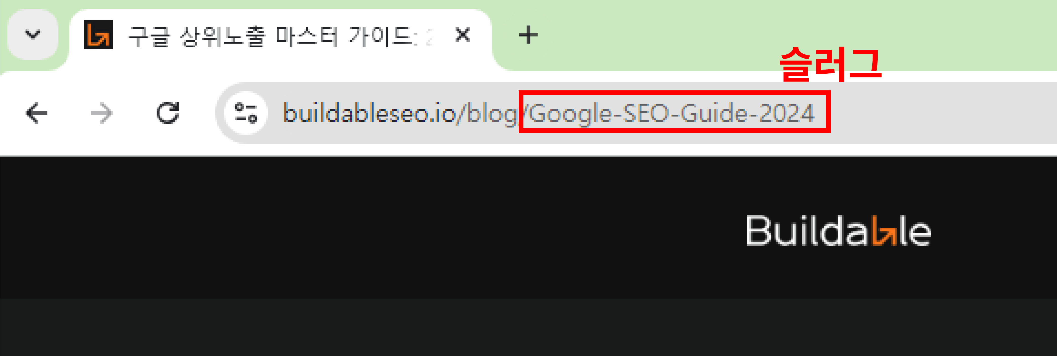 슬러그 뜻